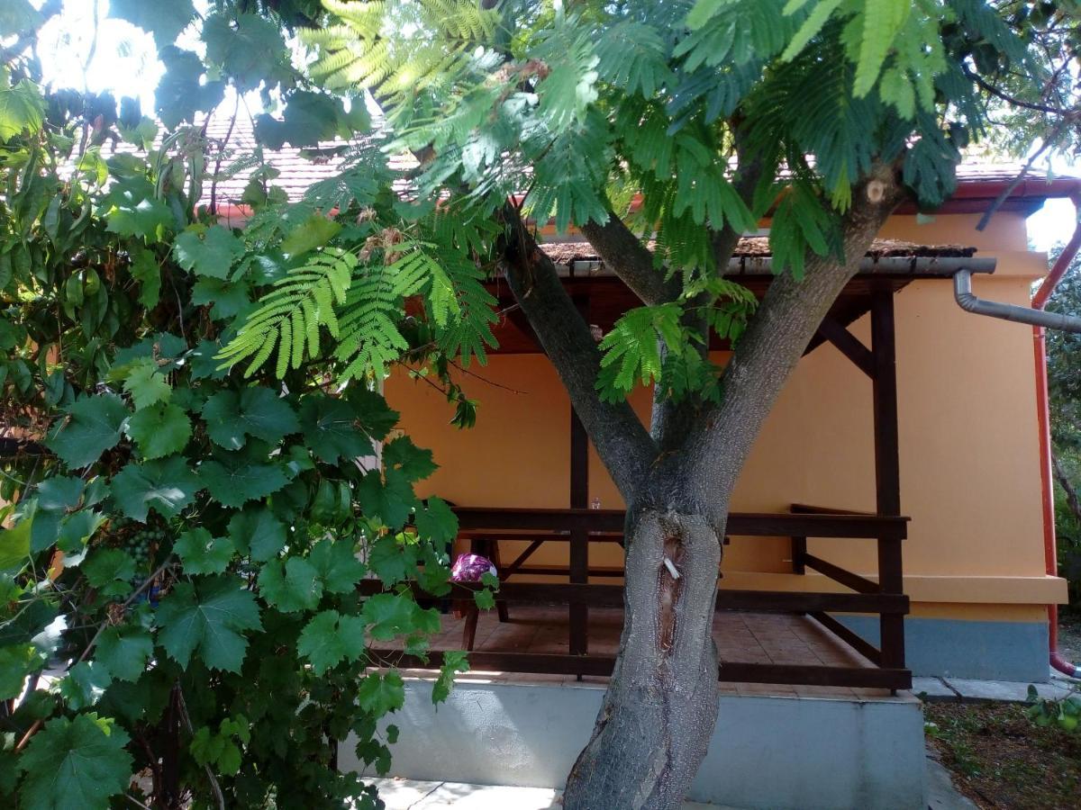 Abádi Karmazsin Ház Vila Abádszalók Exterior foto